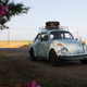 Waiting for my car to cool down outside of Sacramento. My engine fan had lunched a handful of wires. I still don’t know how. Photo by author.